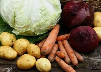 Куплю на постійній основі картоплю, буряк, цибулю, моркву, капусту з ПДВ- фото № 1