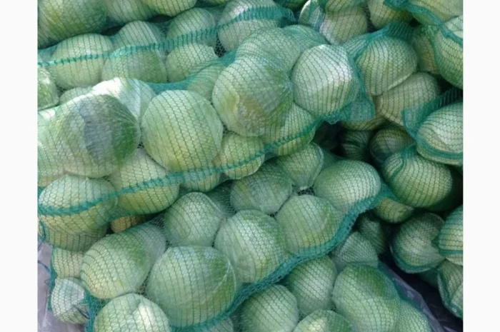 Куплю картоплю, моркву, капусту в об'ємі- фото № 3