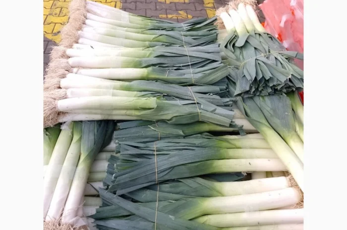 Продам лук-порей- фото № 3