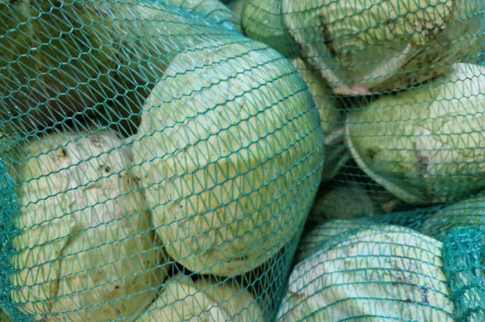 Продаж буряка, капусти та моркви. Опт- фото № 6