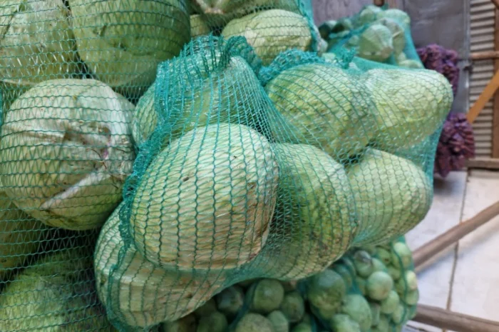 Продаж буряка, капусти та моркви. Опт- фото № 7