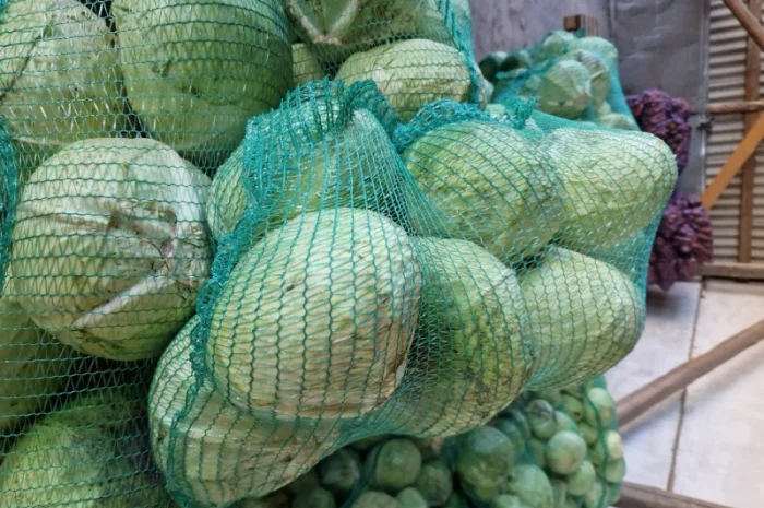 Продаж буряка, капусти та моркви. Опт- фото № 8