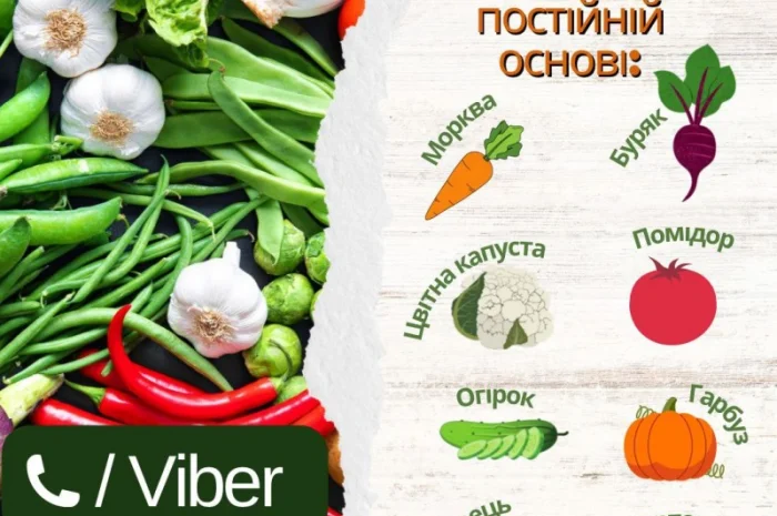 Закуповуємо овочі у великих об'ємах (від 20 т)- фото № 1