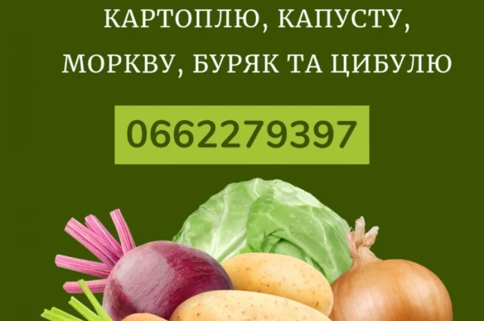 Закуповуємо в об'ємі капусту, моркву та буряк- фото № 1