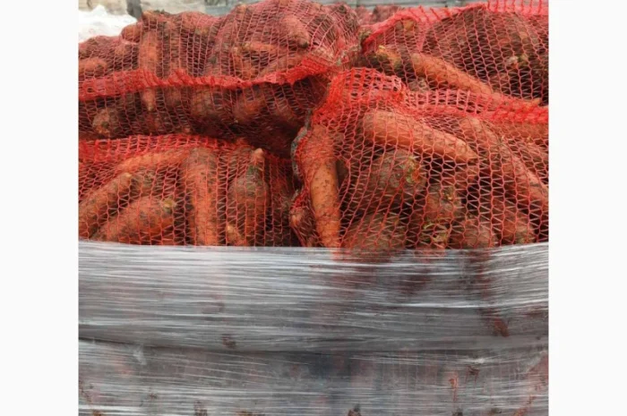 Продам овощи, морковка, буряк, лук, капуста- фото № 4