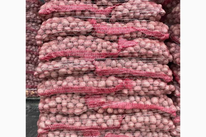 Продаж насінневої картоплі гуртом від 500 кг- фото № 1