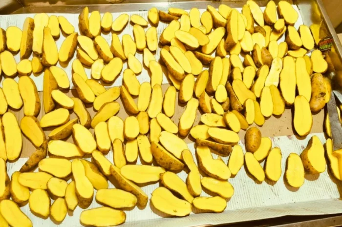 Продамо картоплю Коломбо, Гранада- фото № 1