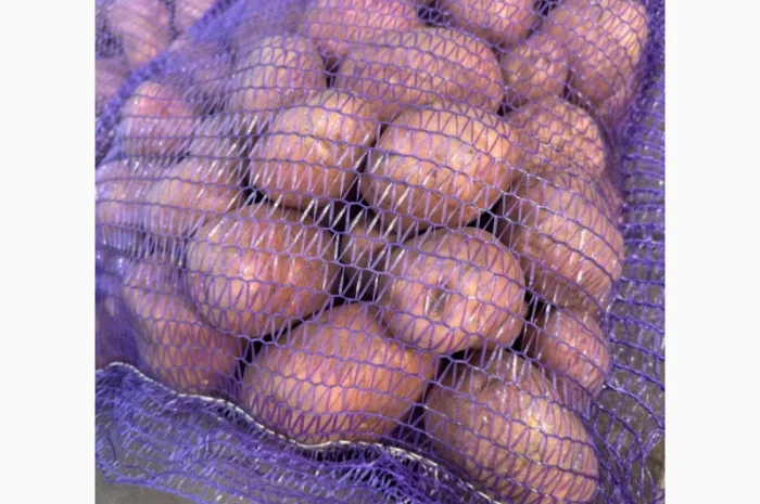 Продажа насіннєвої та продовольчої картоплі- фото № 8