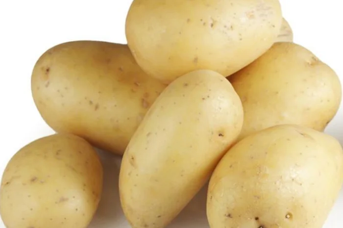 Свежий желтый картофель, Киев Whatsapp +33758499139 Винницкая обл- фото № 1