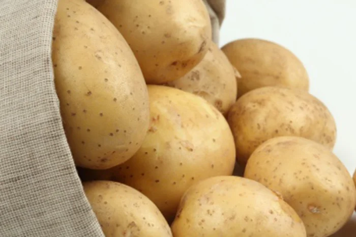 Свежий желтый картофель, Киев Whatsapp +33758499139- фото № 1