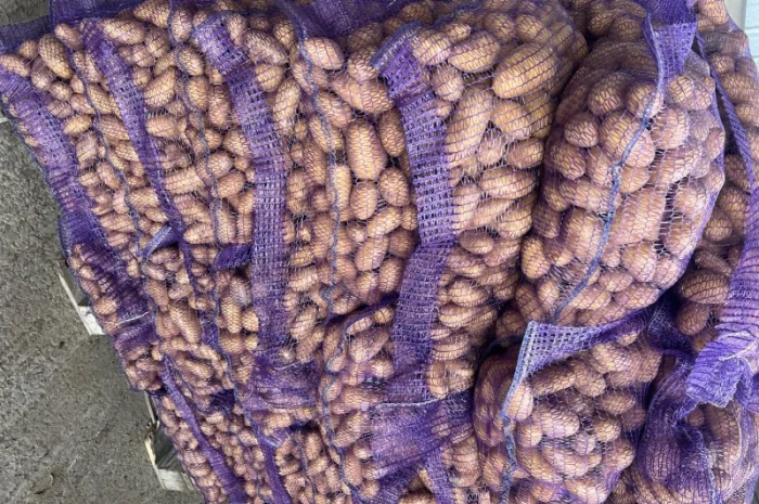 Продам товарну картоплю, сорт Гранада- фото № 1