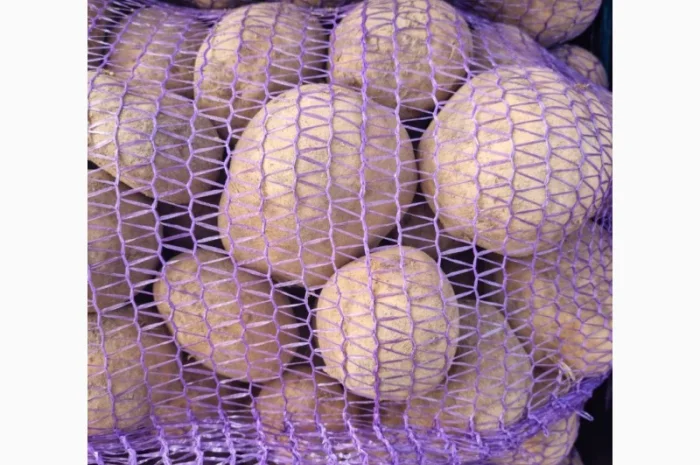 Покупка картоплі оптом у Києві- фото № 2