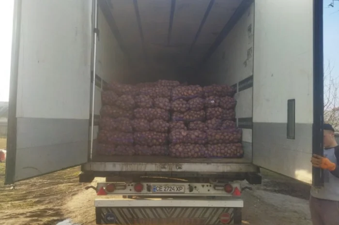 Покупка картоплі оптом у Києві- фото № 6