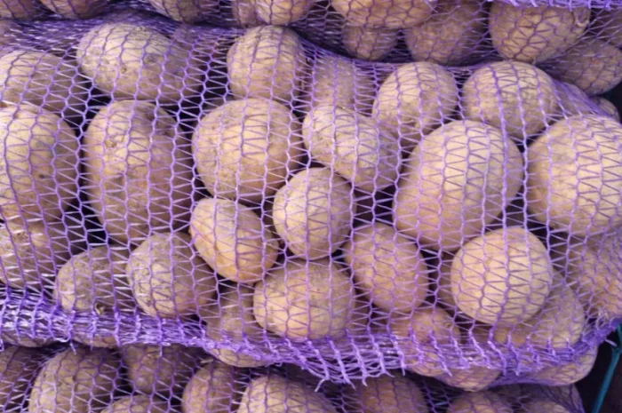 Покупка картоплі оптом у Києві- фото № 3