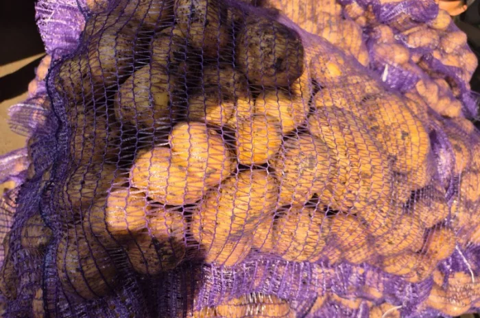 Якісна картопля на продаж- фото № 2