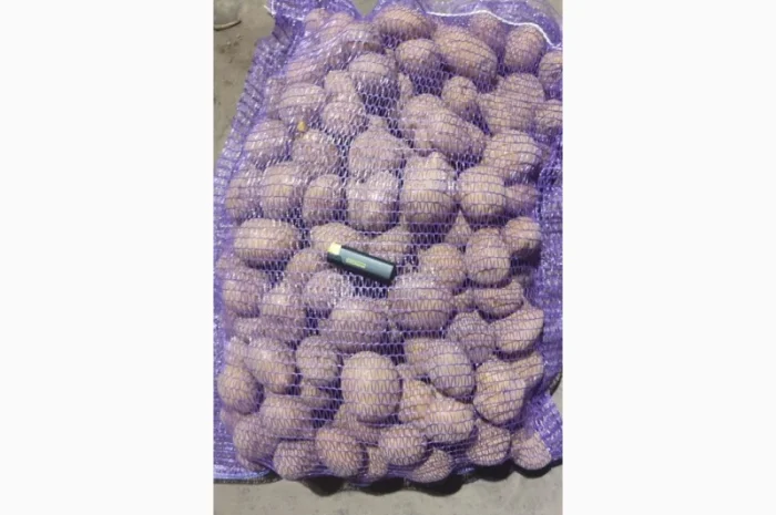 Качественный картофель разных сортов на продажу- фото № 4