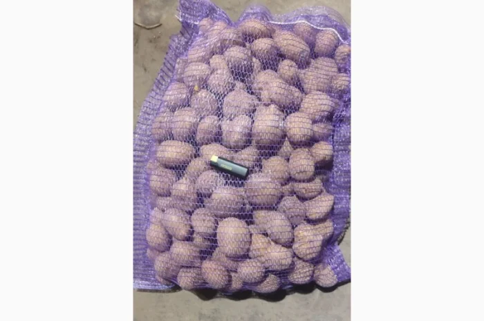 Качественный картофель разных сортов на продажу- фото № 5