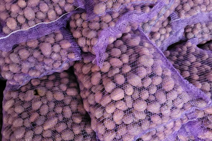 Продаж насіннєвого картоплі: Рівєра, Арізона, Белароса, Коломбо- фото № 2