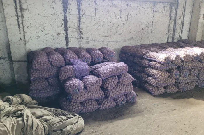 Продаж насіннєвого картоплі: Рівєра, Арізона, Белароса, Коломбо- фото № 9