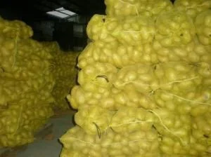 Продам картофель с Польши сорт Гранада и Королева Анна- фото № 3