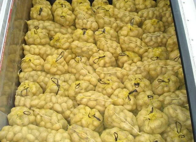 Продам картофель с Польши сорт Гранада и Королева Анна- фото № 4