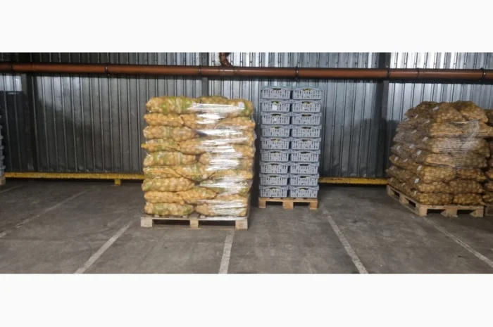 Продам картофель с Польши сорт Гранада и Королева Анна- фото № 8