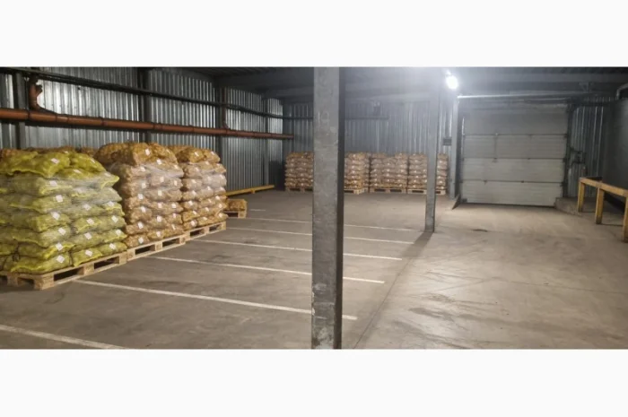 Продам картофель с Польши сорт Гранада и Королева Анна- фото № 9