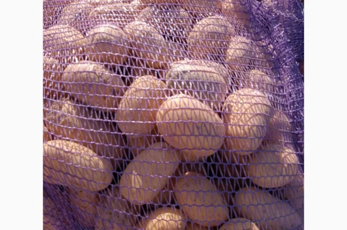 Продамо картоплю- фото № 1