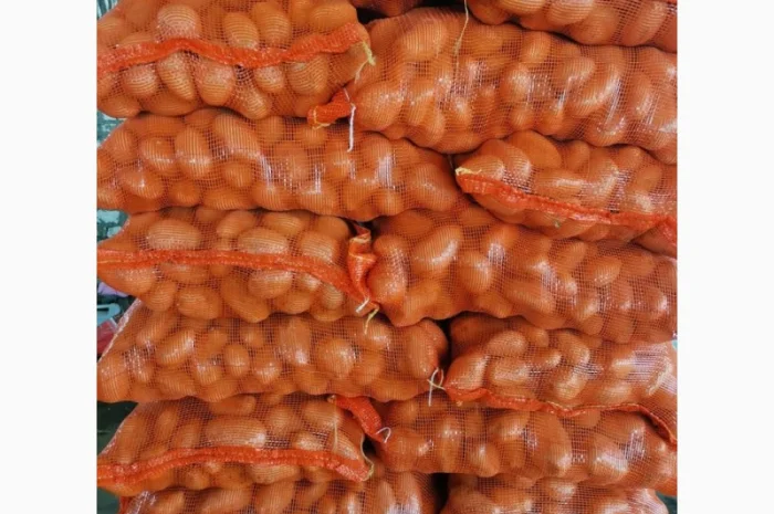 Продаю свежую молодую картошку- фото № 3