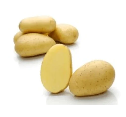 Семенной картофель сорта Мелоди 5 кг- фото № 1