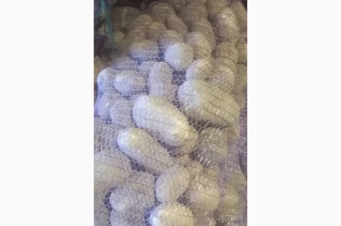 Куплю картоплю білих сортів від 20 тонн- фото № 1