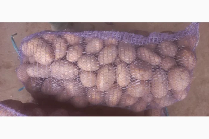 Куплю картоплю білих сортів від 20 тонн- фото № 2