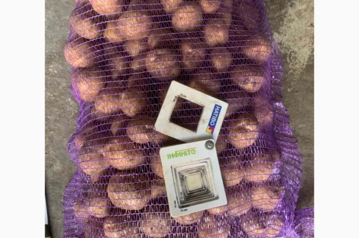 Реалізую картопю від виробника відмінної якості. Мінімальна партія 3т- фото № 1