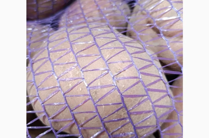 Продам картофель БеллаРоза урожай 2025 года- фото № 4