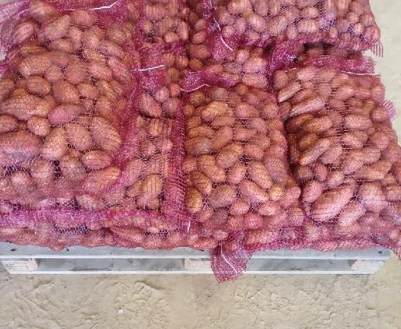 Продаж картоплі гуртом великими партіями- фото № 2