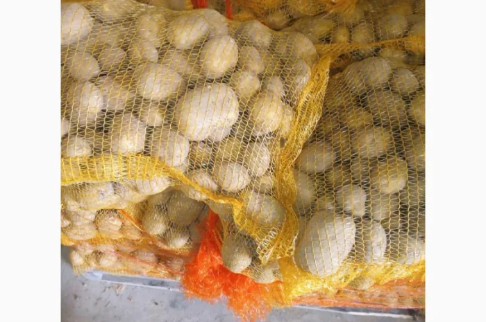 Продаж картоплі гуртом великими партіями- фото № 3