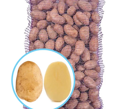 Сорт картоплі Рів'єра – ультраранній, упаковка 2.5кг- фото № 1