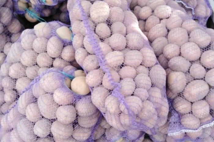 Продажа картофеля сортов Белароса и Аризона- фото № 1