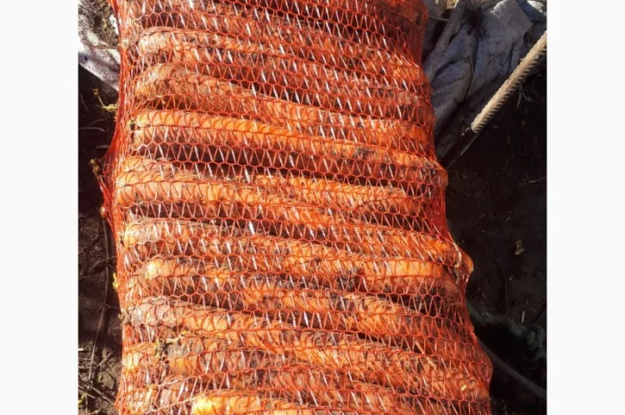 Покупка товарної картоплі від фермерів та постачальників- фото № 5