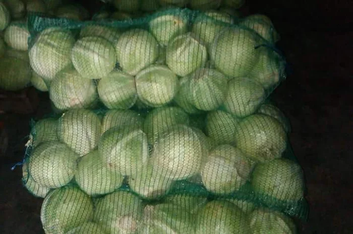 Покупка товарної картоплі від фермерів та постачальників- фото № 7