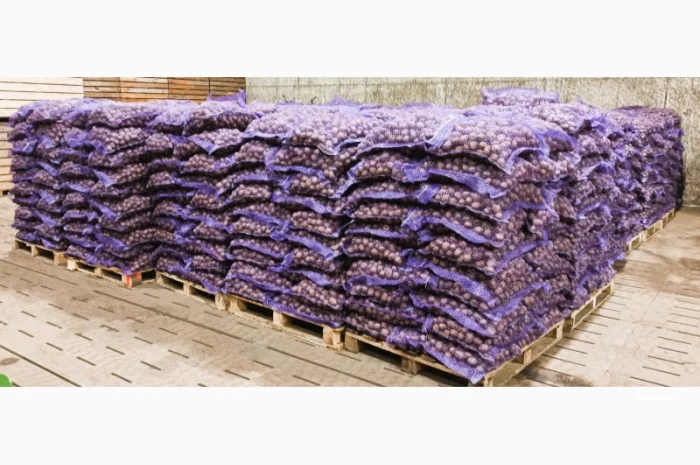 Картопля товарна сорту Мелоді, без посередників- фото № 1