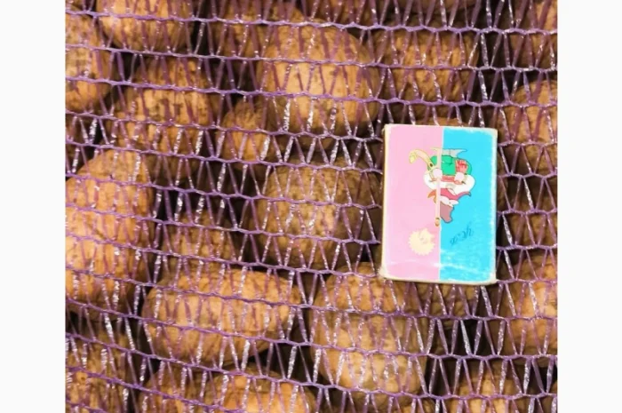 Картопля Мелоді, 1 репродукція, 35/45- фото № 5