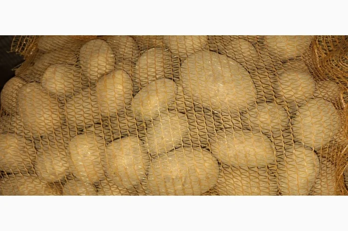 Картопля 5+ в сітках від польської компанії- фото № 2