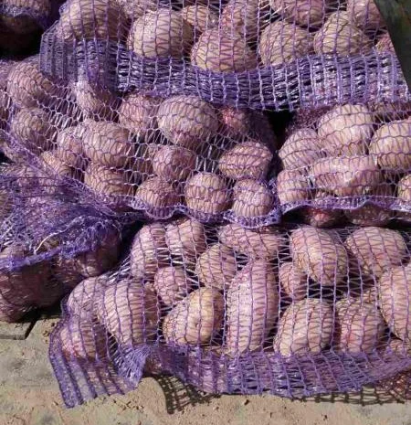 Продам товарний картофель- фото № 2