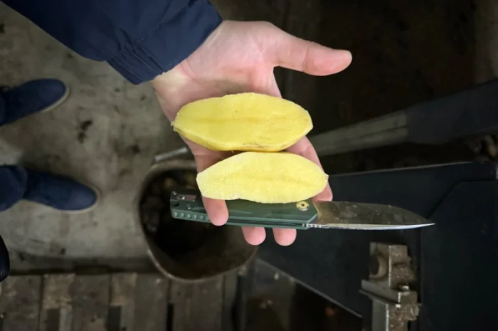 Закупівля картоплі для столових- фото № 1