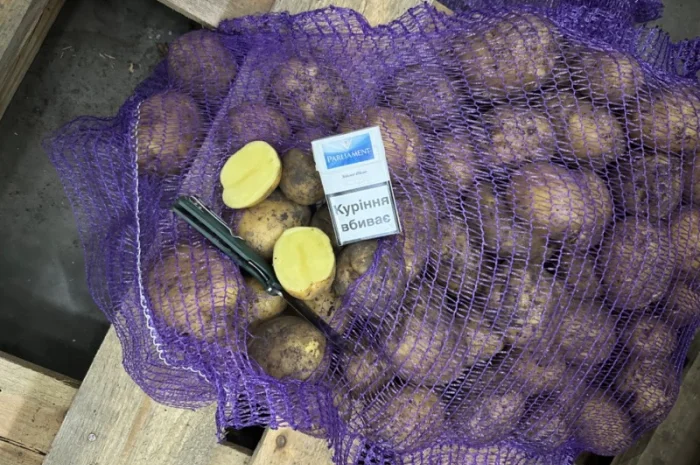 Закупівля картоплі для столових- фото № 3