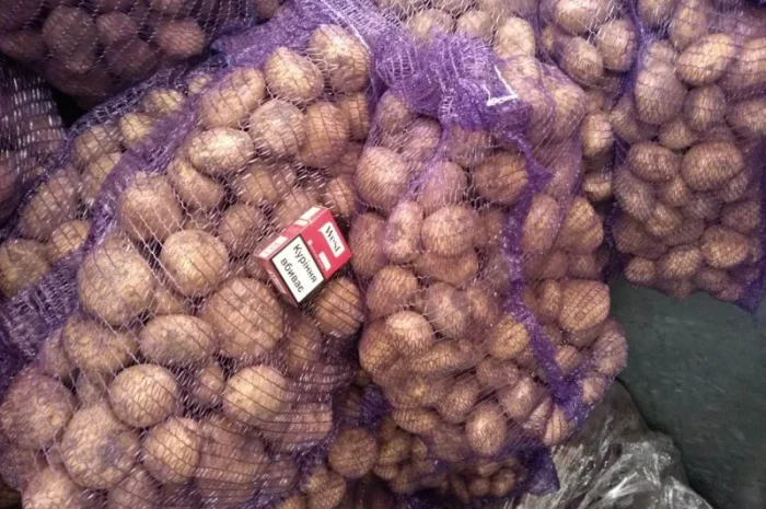 Оптова продаж картоплі- фото № 1