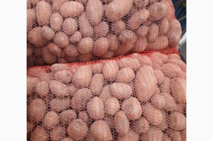 Оптовий продаж товарної картоплі- фото № 1