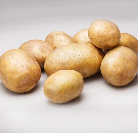 Продаж картоплі товарної якості оптом- фото № 1