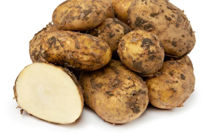 Картофель оптом по доступной цене- фото № 1